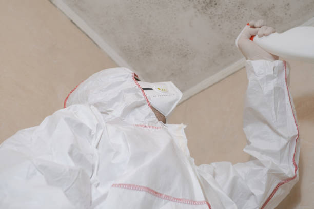 Best Mold Remediation Services  in New Braunfels, TX